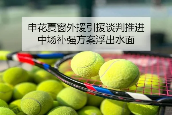 申花夏窗外援引援谈判推进 中场补强方案浮出水面